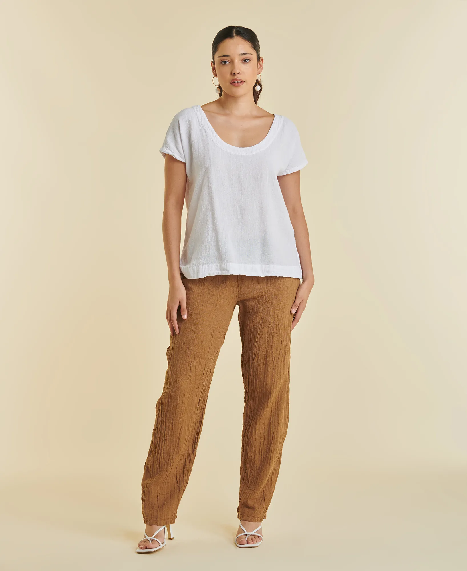 dolphin_caramel_1 Dolphin