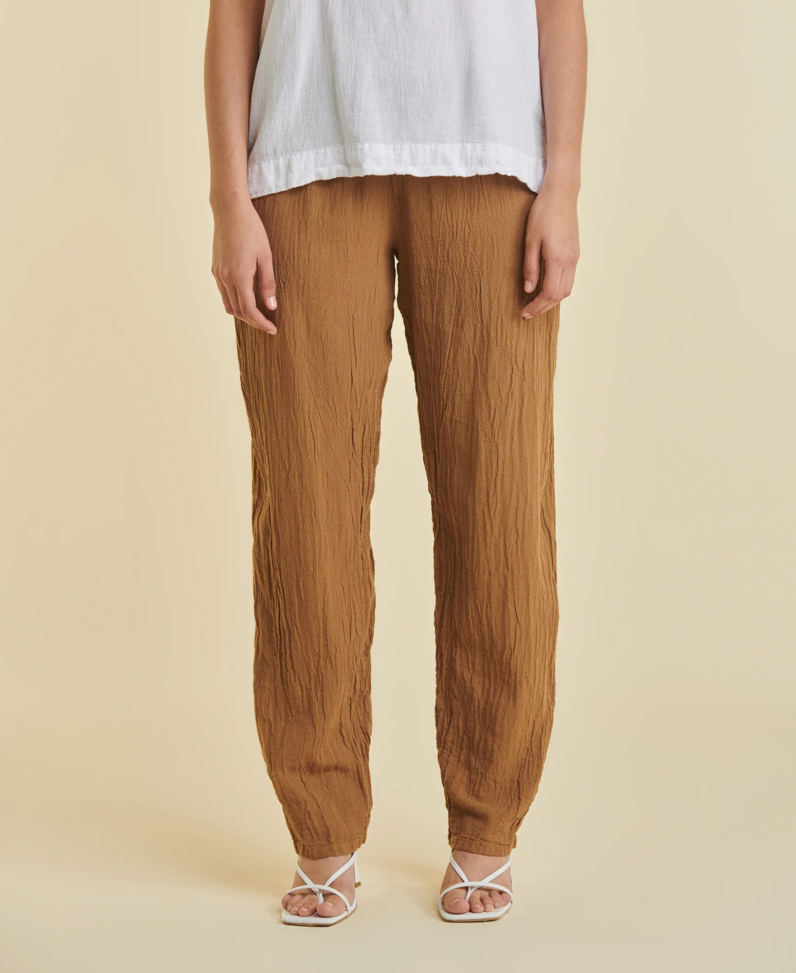 dolphin_caramel_2 Dolphin