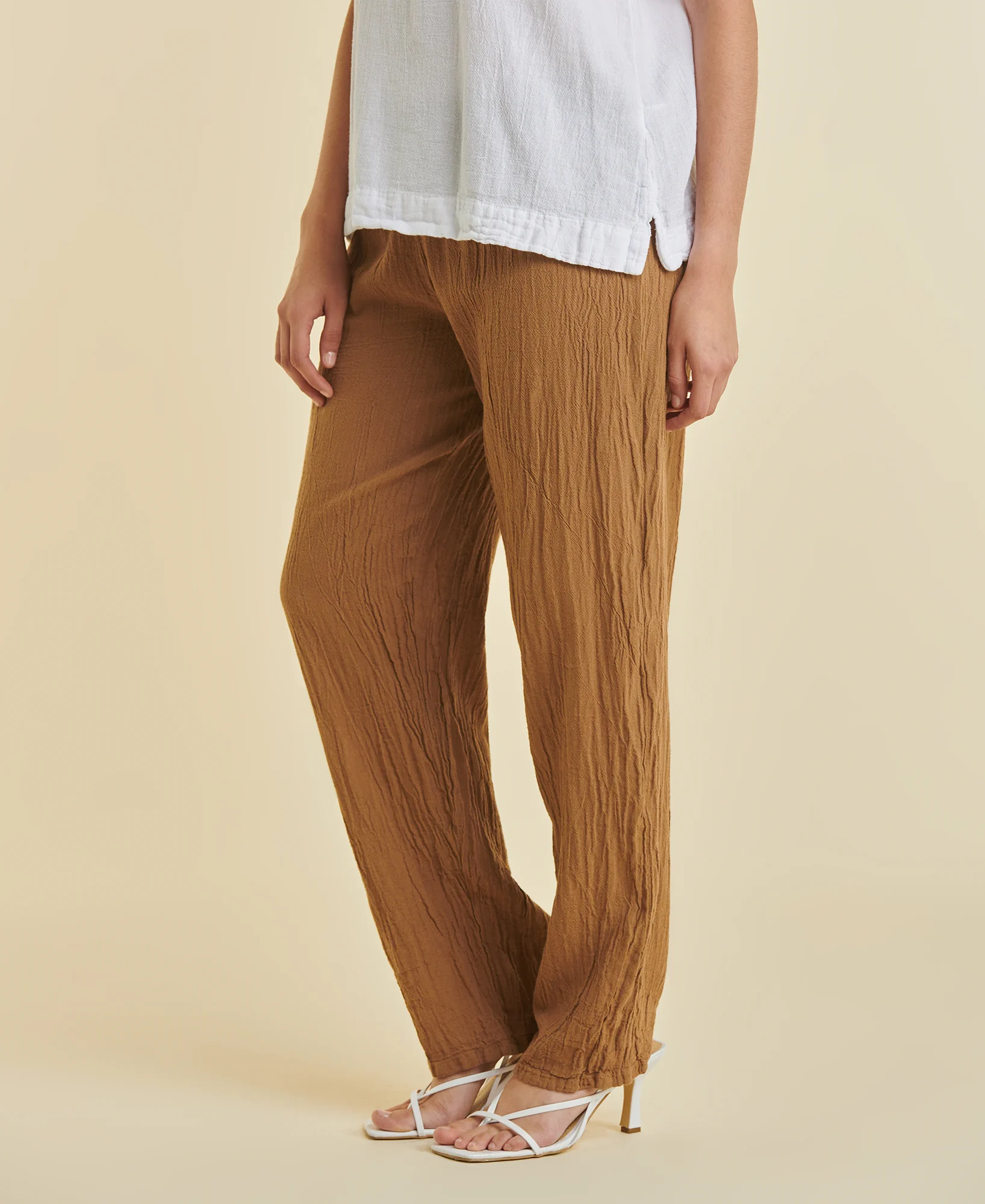 dolphin_caramel_3 Dolphin