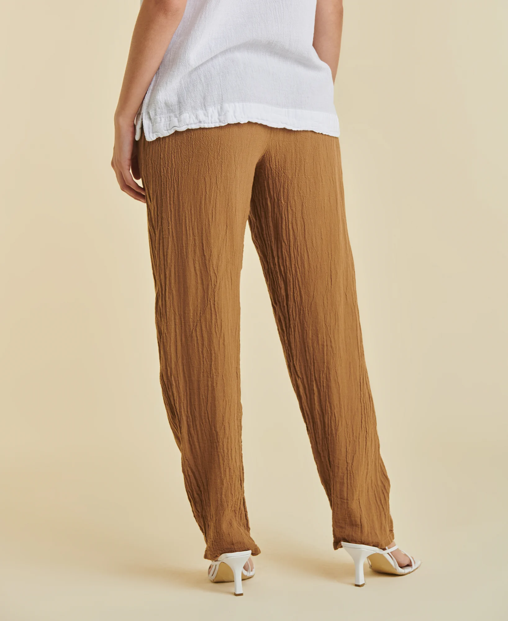 dolphin_caramel_4 Dolphin