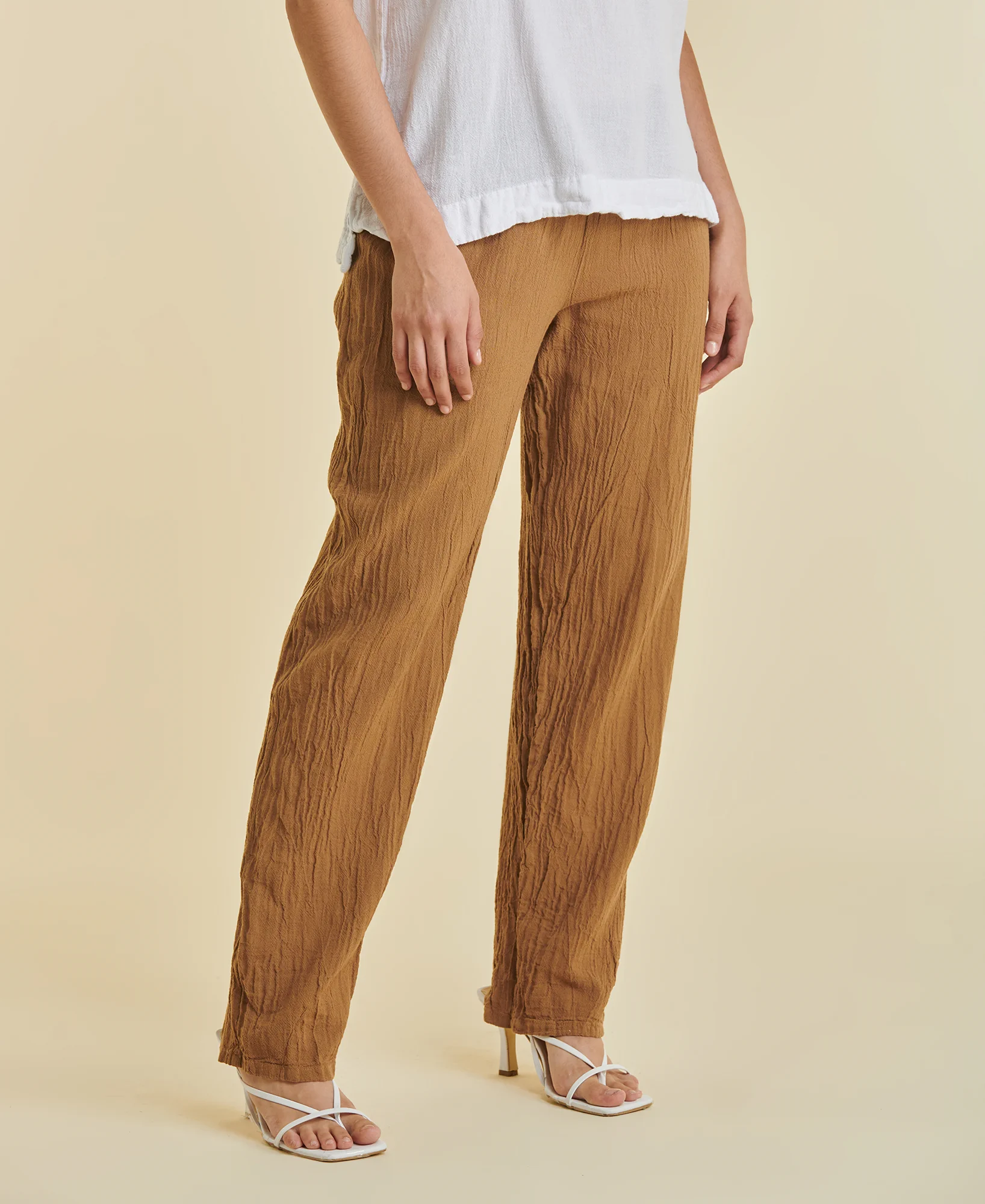 dolphin_caramel_5 Dolphin